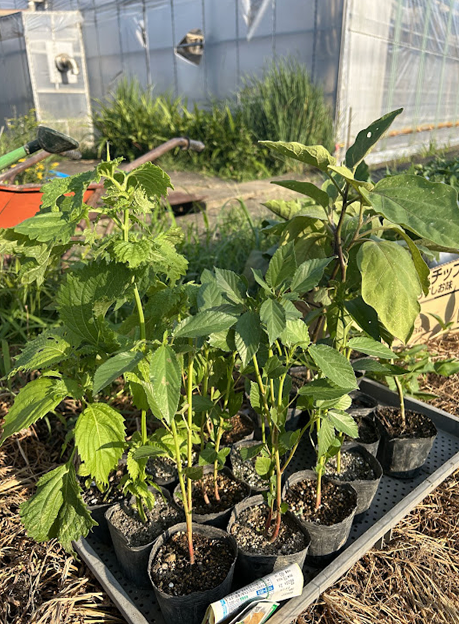 Farm Image 8