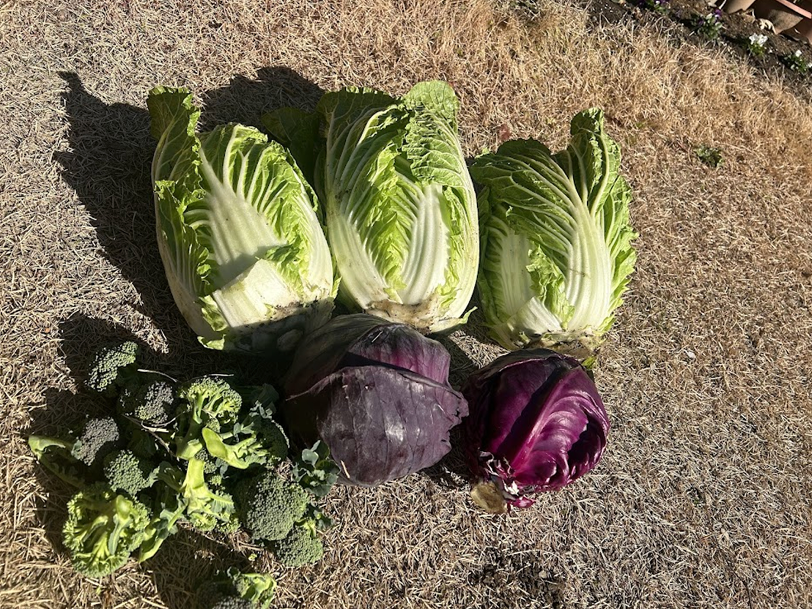 Farm Image 9